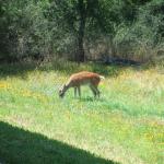 dscf0018