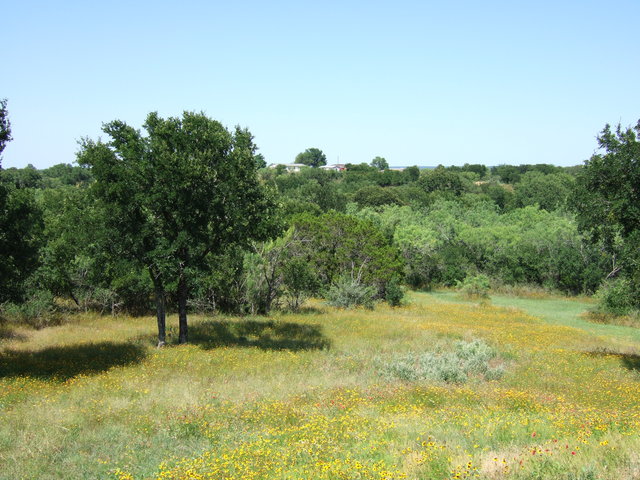 dscf0022
