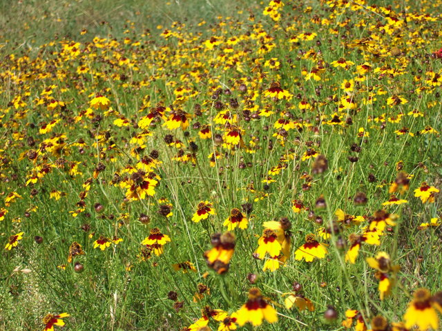 dscf0027