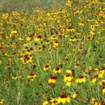 dscf0027