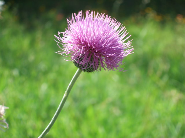 dscf0035