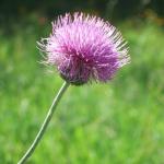 dscf0035
