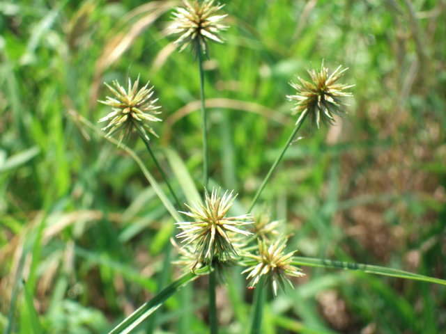 dscf0041
