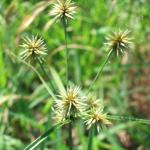 dscf0041