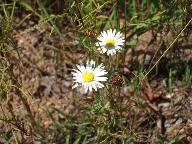dscf0047