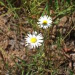 dscf0047