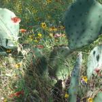 dscf0048