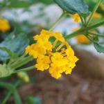 dscf0053