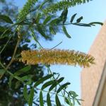dscf0056