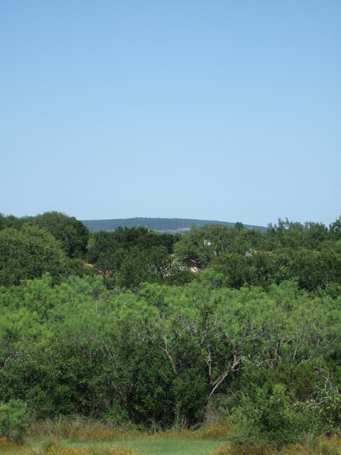 dscf0059