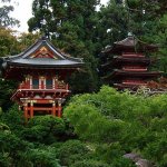 Japanese Tea Garden