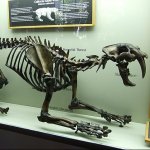 La Brea Tar Pits