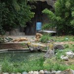 dscf0086