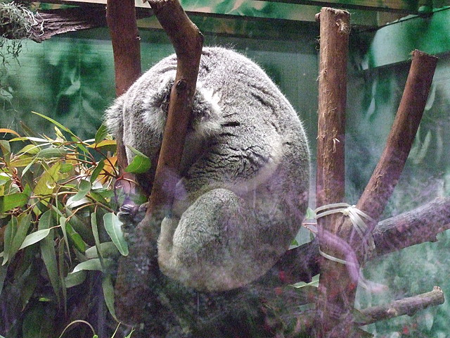 dscf0057