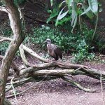 dscf0037