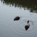 dscf0064