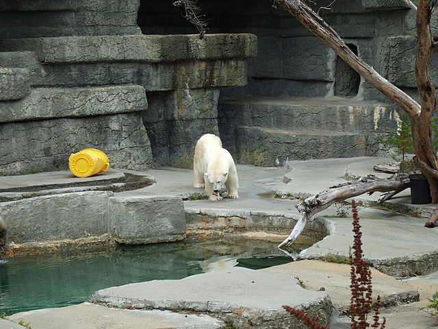 dscf0071