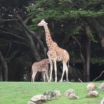 dscf0020