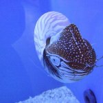 dscf0405