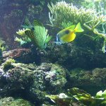 dscf0422
