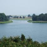 Salt Pond