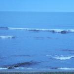 Cahoon Hollow Beach