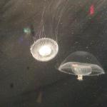 dscf0781