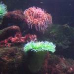 dscf0791