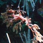 dscf0804
