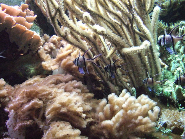 dscf0816