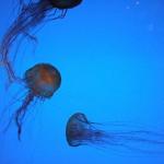 dscf0834