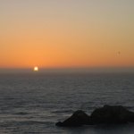 img_0161